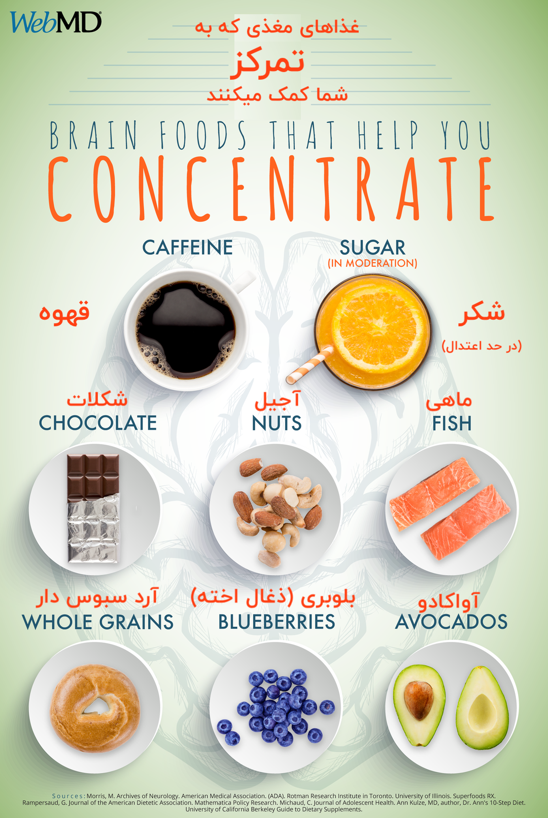 foodBrain