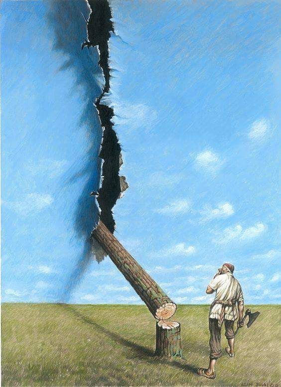 tree Scraping Sky