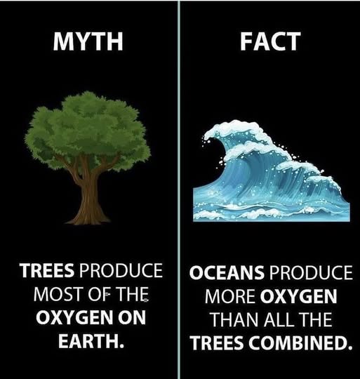 myth Facts