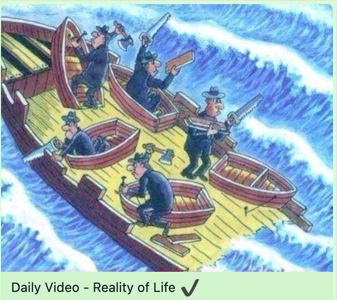 boats
