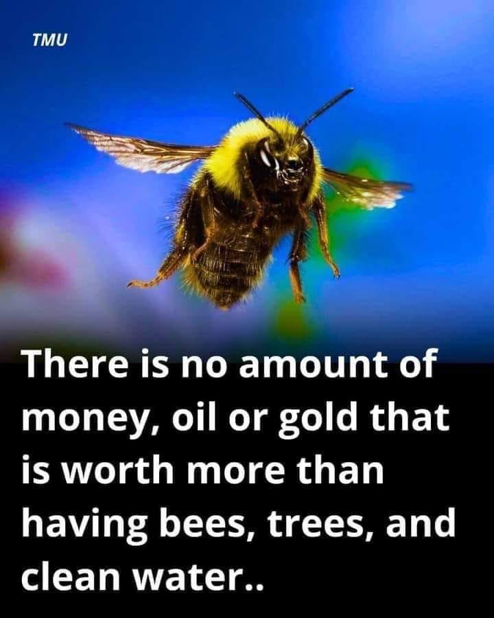 bees